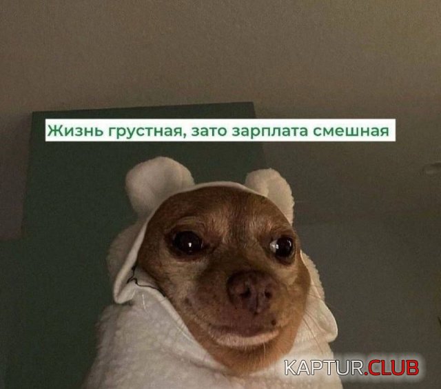 1737022479_255800_4_trinixy_ru.jpg | Рено Каптур Клуб Россия | Форум KAPTUR.SU