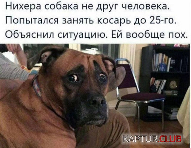 1740472980_256831_12_trinixy_ru.jpg | Рено Каптур Клуб Россия | Форум KAPTUR.SU