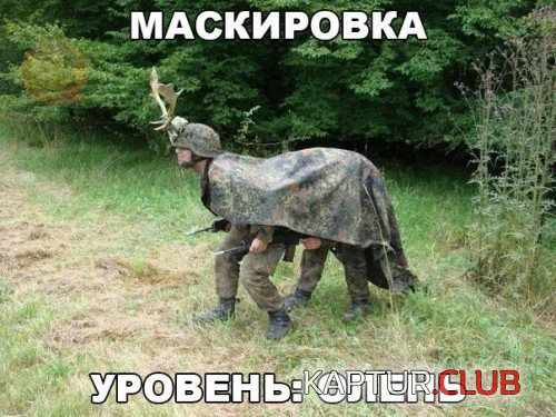 174202372.p.500.500.0.jpg | Рено Каптур Клуб Россия | Форум KAPTUR.SU