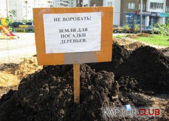 1749485ba475b7869f937a1a4d5_prev.jpg | Рено Каптур Клуб Россия | Форум KAPTUR.SU