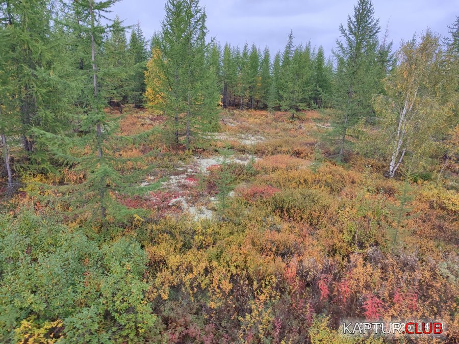 1757428440205.jpg | Рено Каптур Клуб Россия | Форум KAPTUR.SU