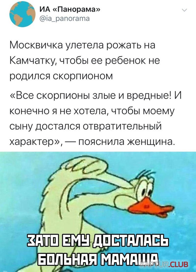 1779.jpg | Рено Каптур Клуб Россия | Форум KAPTUR.SU