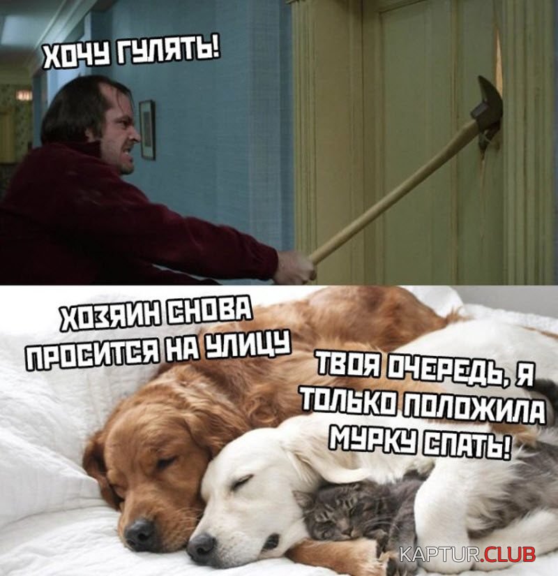 1788.jpg | Рено Каптур Клуб Россия | Форум KAPTUR.SU
