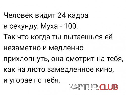 179232044.p.500.500.0.jpg | Рено Каптур Клуб Россия | Форум KAPTUR.SU