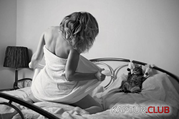 17b7193fba30d7ceff9ca7a0a82.jpg | Рено Каптур Клуб Россия | Форум KAPTUR.SU
