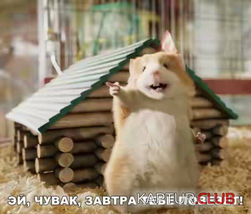 182520825.p.500.500.0.jpg | Рено Каптур Клуб Россия | Форум KAPTUR.SU