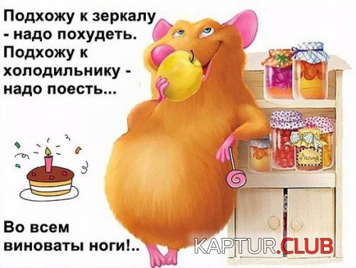 182570087.p.500.500.0.jpg | Рено Каптур Клуб Россия | Форум KAPTUR.SU