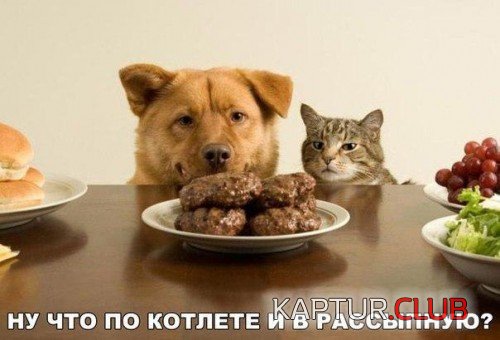 182713875.p.500.500.0.jpg | Рено Каптур Клуб Россия | Форум KAPTUR.SU