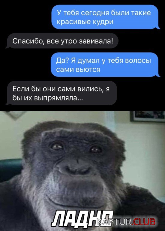 183.jpg | Рено Каптур Клуб Россия | Форум KAPTUR.SU