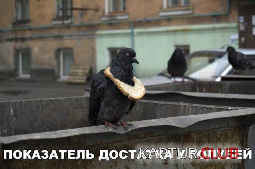183169555.p.500.500.0.jpg | Рено Каптур Клуб Россия | Форум KAPTUR.SU