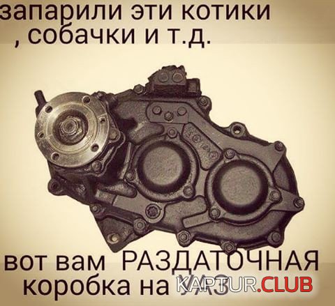 183306963.p.500.500.0.jpg | Рено Каптур Клуб Россия | Форум KAPTUR.SU