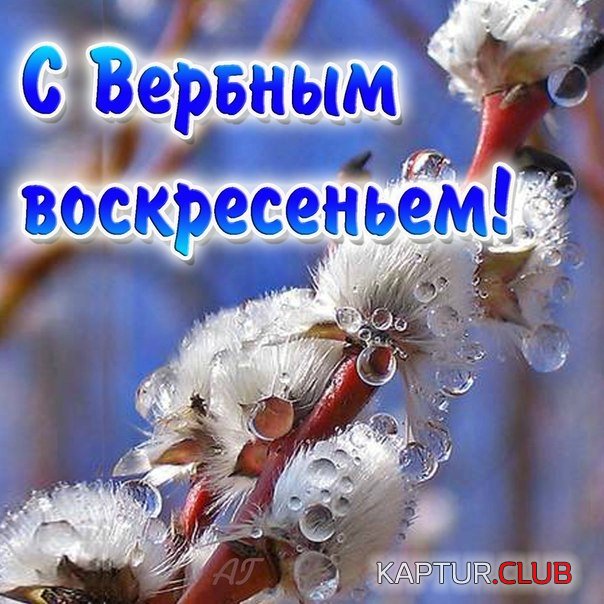 18402611.jpg | Рено Каптур Клуб Россия | Форум KAPTUR.SU