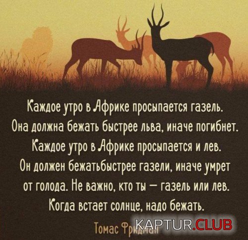 184051731.p.500.500.0.jpg | Рено Каптур Клуб Россия | Форум KAPTUR.SU