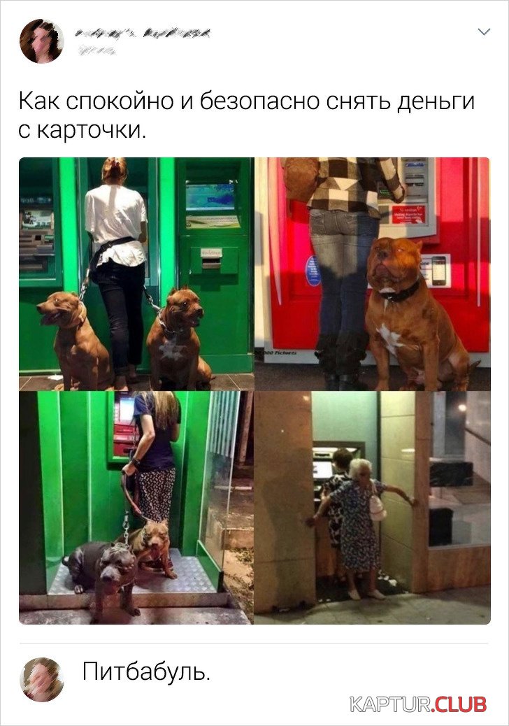 184542_2_trinixy_ru.jpg | Рено Каптур Клуб Россия | Форум KAPTUR.SU
