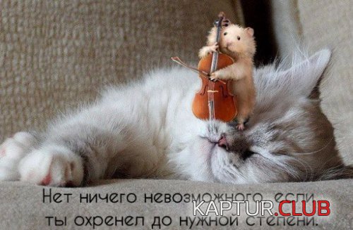 184794226.p.500.500.0.jpg | Рено Каптур Клуб Россия | Форум KAPTUR.SU