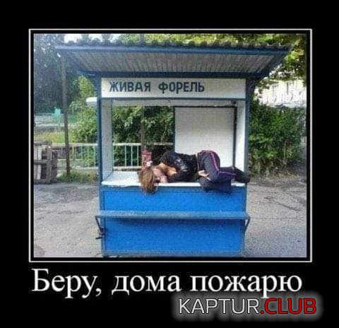 184985_16_trinixy_ru.jpg | Рено Каптур Клуб Россия | Форум KAPTUR.SU
