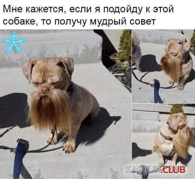184985_9_trinixy_ru.jpg | Рено Каптур Клуб Россия | Форум KAPTUR.SU