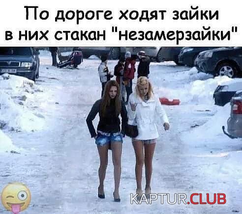 185086_23_trinixy_ru.jpg | Рено Каптур Клуб Россия | Форум KAPTUR.SU