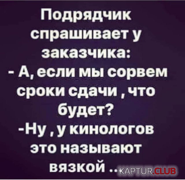 185086_9_trinixy_ru.jpg | Рено Каптур Клуб Россия | Форум KAPTUR.SU