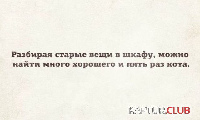 185b50ec5032467c53e219b4339.jpg | Рено Каптур Клуб Россия | Форум KAPTUR.SU