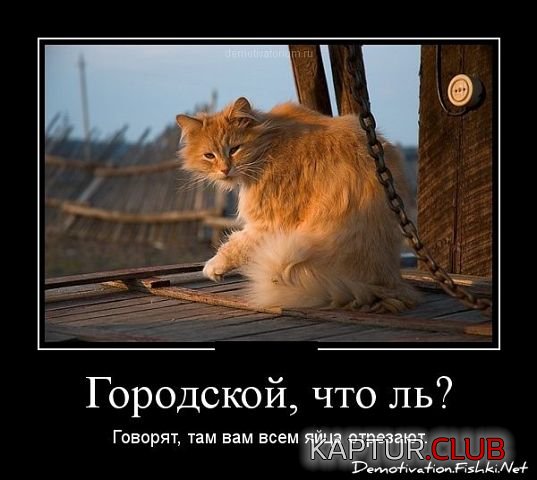 1861+4.jpg | Рено Каптур Клуб Россия | Форум KAPTUR.SU