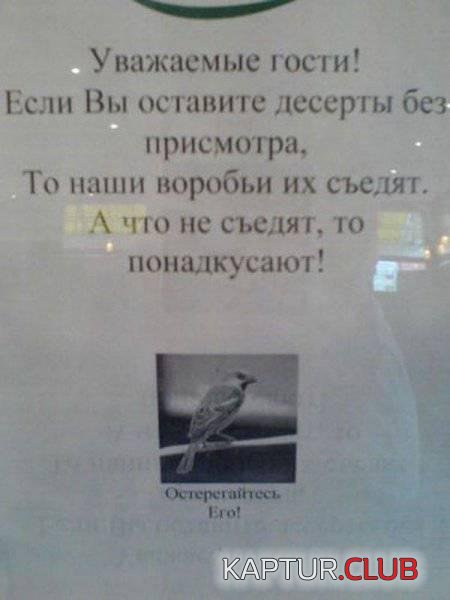189207a456c646b10104f99ce2b.jpg | Рено Каптур Клуб Россия | Форум KAPTUR.SU