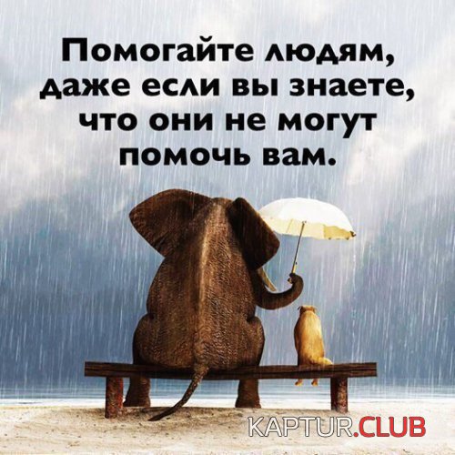 189846155.p.500.500.0.jpg | Рено Каптур Клуб Россия | Форум KAPTUR.SU