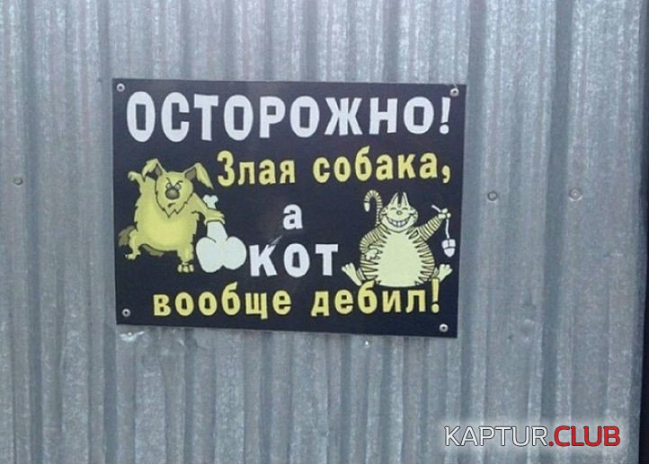 19.jpg | Рено Каптур Клуб Россия | Форум KAPTUR.SU