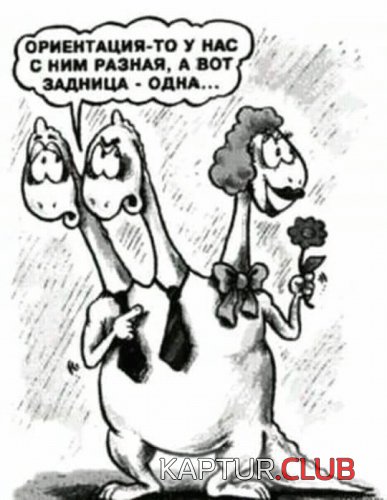 190037678.p.500.500.0.jpg | Рено Каптур Клуб Россия | Форум KAPTUR.SU