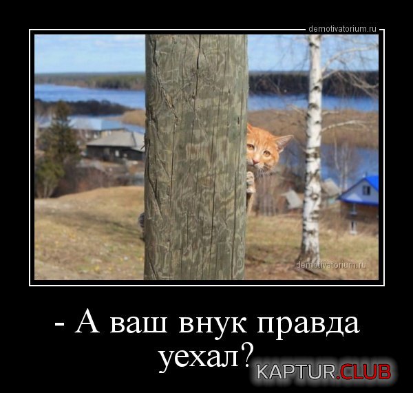 190617-1.jpg | Рено Каптур Клуб Россия | Форум KAPTUR.SU