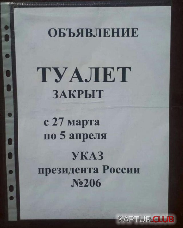 191386_2_trinixy_ru.jpg | Рено Каптур Клуб Россия | Форум KAPTUR.SU