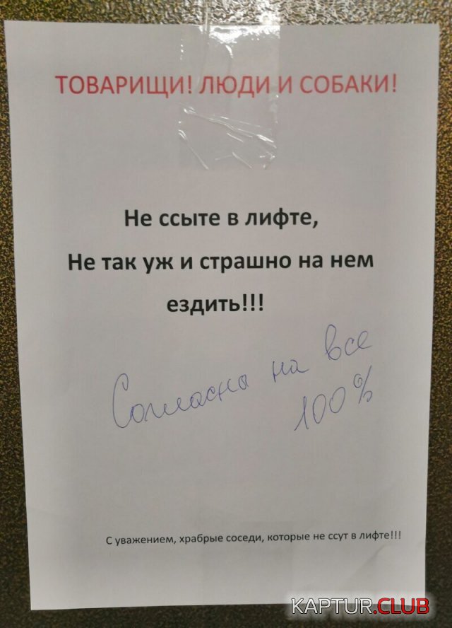 192000_13_trinixy_ru.jpg | Рено Каптур Клуб Россия | Форум KAPTUR.SU