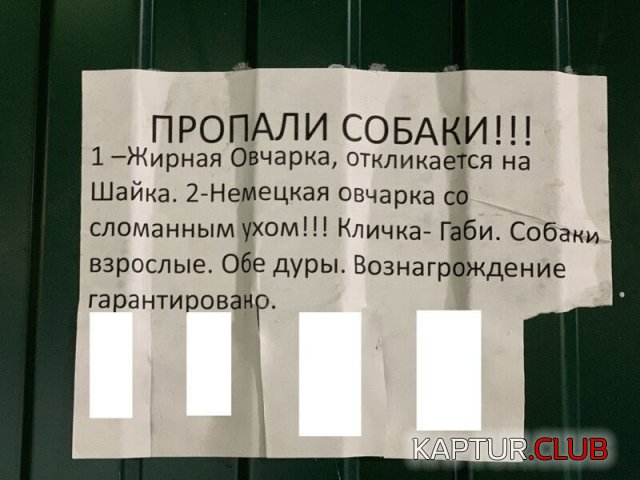 192000_8_trinixy_ru.jpg | Рено Каптур Клуб Россия | Форум KAPTUR.SU