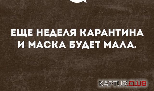 192034_15_trinixy_ru.jpg | Рено Каптур Клуб Россия | Форум KAPTUR.SU