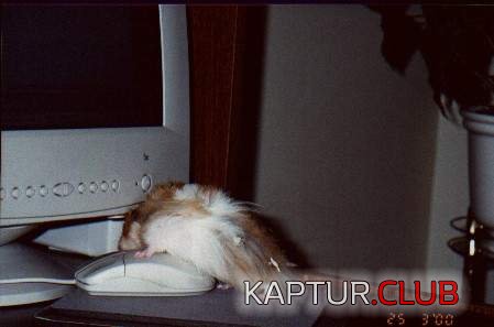 1929.JPG | Рено Каптур Клуб Россия | Форум KAPTUR.SU