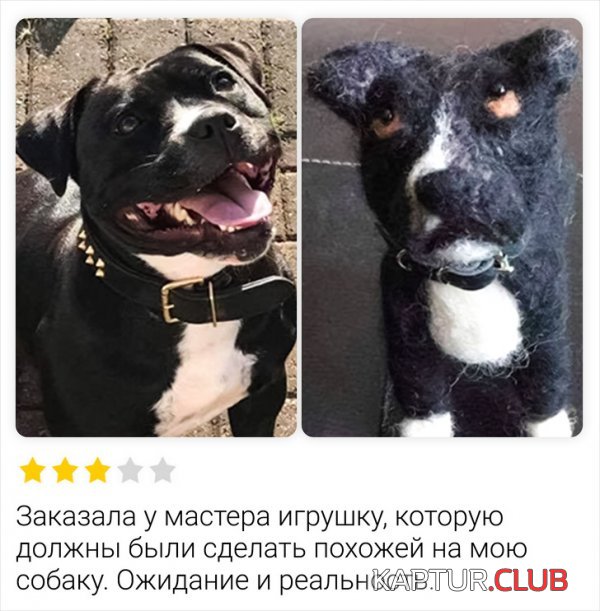 192921_13_trinixy_ru.jpg | Рено Каптур Клуб Россия | Форум KAPTUR.SU
