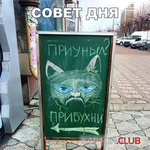 193801460.p.500.500.0.jpg | Рено Каптур Клуб Россия | Форум KAPTUR.SU