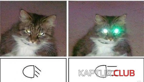 193865619.p.500.500.0.jpg | Рено Каптур Клуб Россия | Форум KAPTUR.SU
