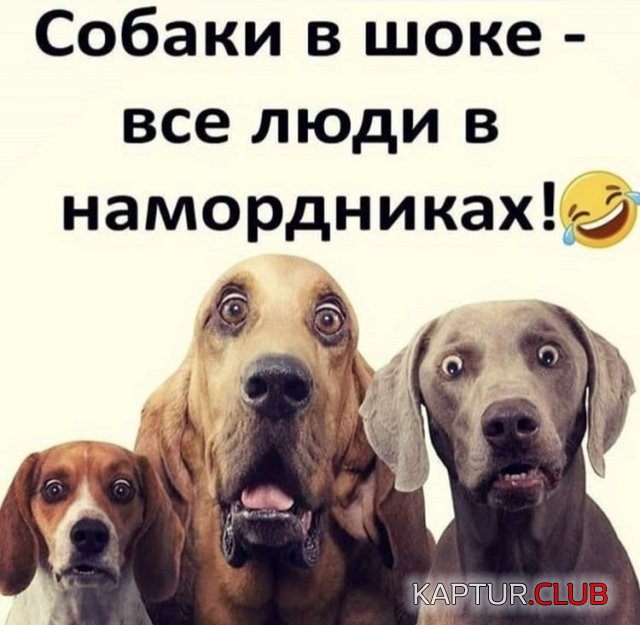 193938_11_trinixy_ru.jpg | Рено Каптур Клуб Россия | Форум KAPTUR.SU