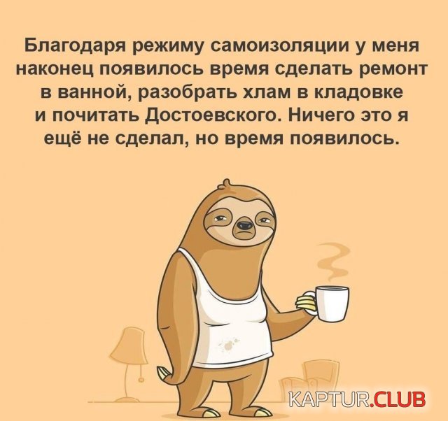 194144_10_trinixy_ru.jpg | Рено Каптур Клуб Россия | Форум KAPTUR.SU