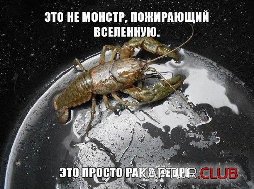 194311226.p.500.500.0.jpg | Рено Каптур Клуб Россия | Форум KAPTUR.SU