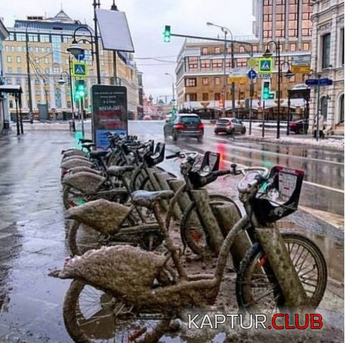 194615722.p.500.500.0.jpg | Рено Каптур Клуб Россия | Форум KAPTUR.SU