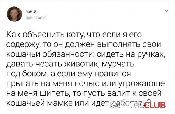 194781_3_trinixy_ru.jpg | Рено Каптур Клуб Россия | Форум KAPTUR.SU