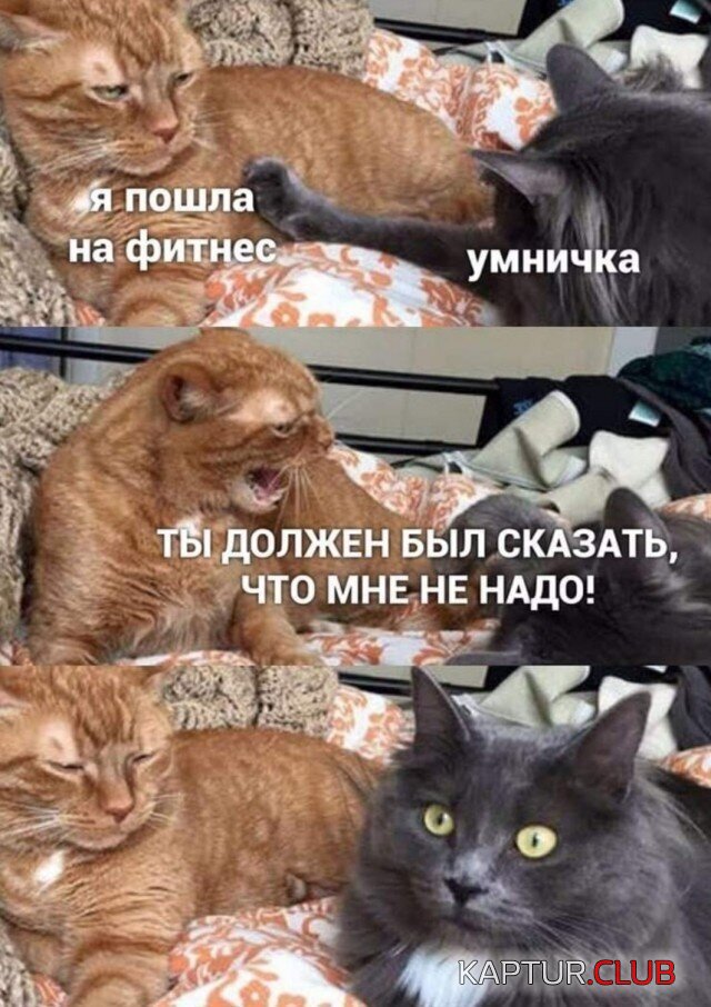 194841_14_trinixy_ru.jpg | Рено Каптур Клуб Россия | Форум KAPTUR.SU
