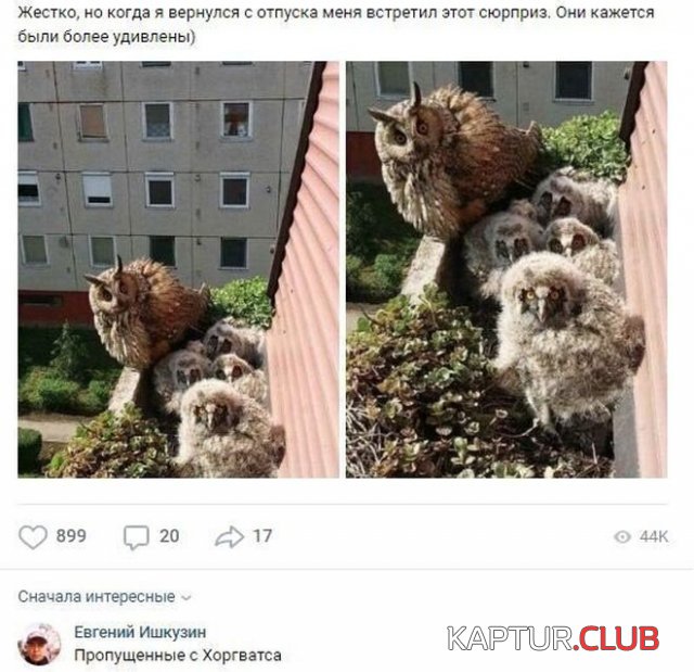 195027_1_1591073078_trinixy_ru.jpg | Рено Каптур Клуб Россия | Форум KAPTUR.SU