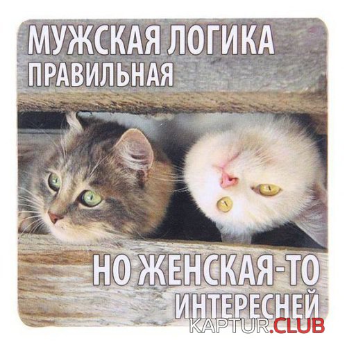 195064047.p.500.500.0.jpg | Рено Каптур Клуб Россия | Форум KAPTUR.SU