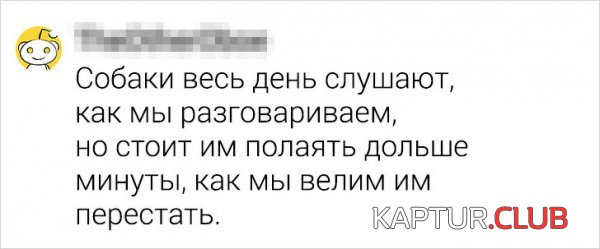 195533_1_trinixy_ru.jpg | Рено Каптур Клуб Россия | Форум KAPTUR.SU