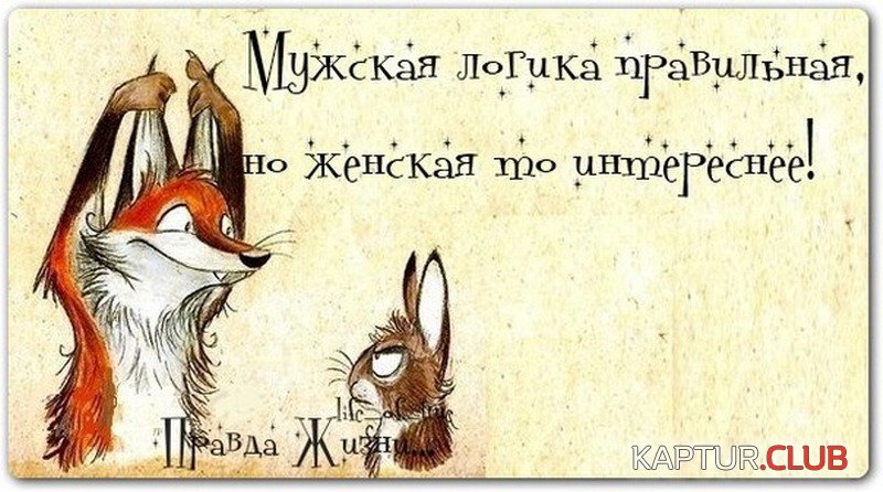 19577c099c81bb2729090500eea.jpg | Рено Каптур Клуб Россия | Форум KAPTUR.SU