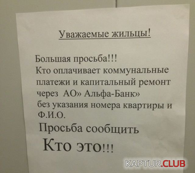 196018_12_trinixy_ru.jpg | Рено Каптур Клуб Россия | Форум KAPTUR.SU