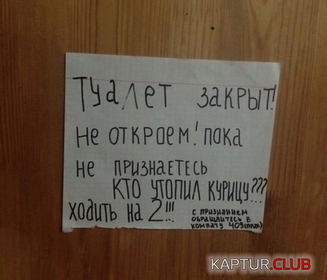 196018_13_trinixy_ru.jpg | Рено Каптур Клуб Россия | Форум KAPTUR.SU